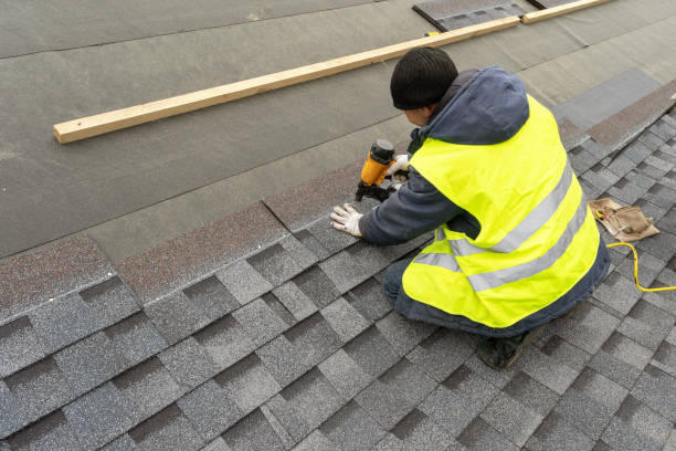 Best Roof Gutter Cleaning  in Wooster, AR