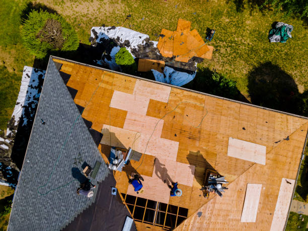 Best Roof Waterproofing Services  in Wooster, AR