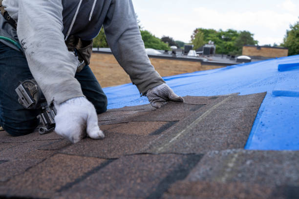Best Roofing Contractors for Homes  in Wooster, AR