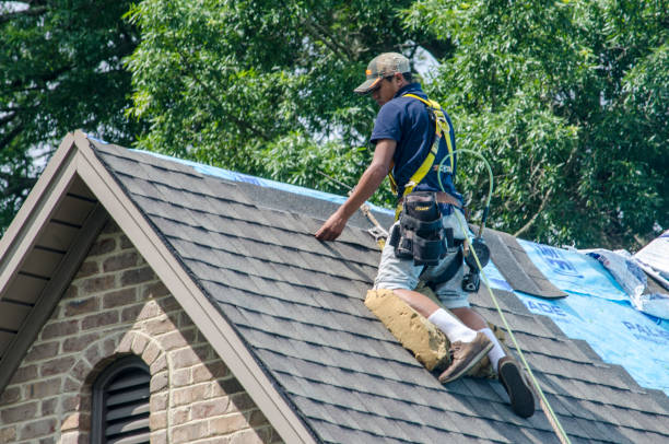 Best Roof Maintenance Services  in Wooster, AR